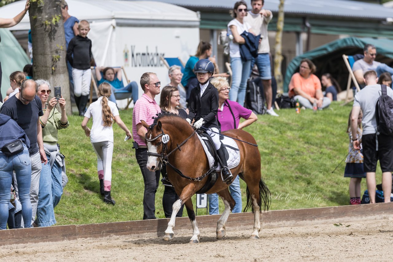 Bild 41 - Pony Akademie Turnier